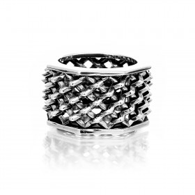 The Holy Grille Ring -
